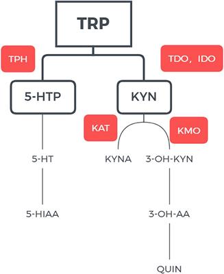 Serum neuroactive metabolites of the tryptophan pathway in patients with acute phase of affective disorders